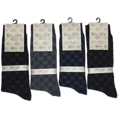 Halley Erkek Likralı Kutulu Havlu Soket Çorap
