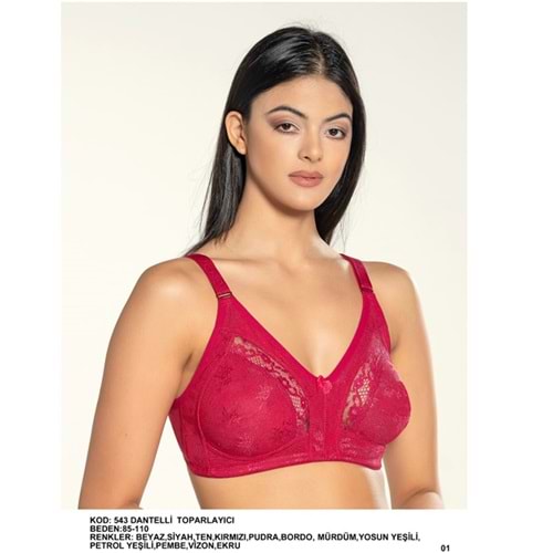 Billiza 543 Bayan Ara Dantelli Normal Toparlayıcı 85-90-95